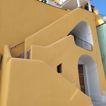 Monoblue * פרוסידה