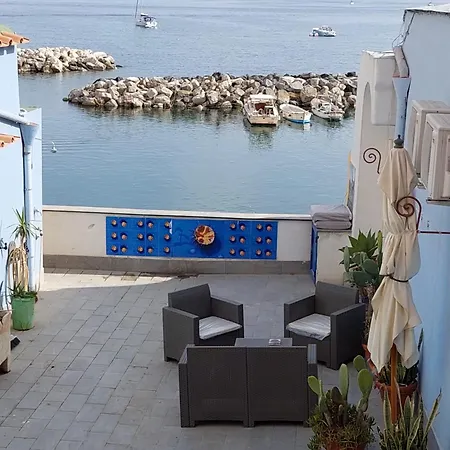 Monoblue פרוסידה