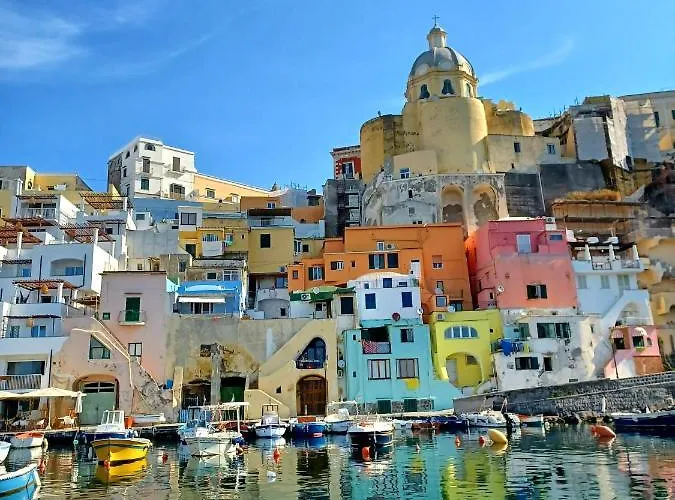 Monoblue プロチーダ