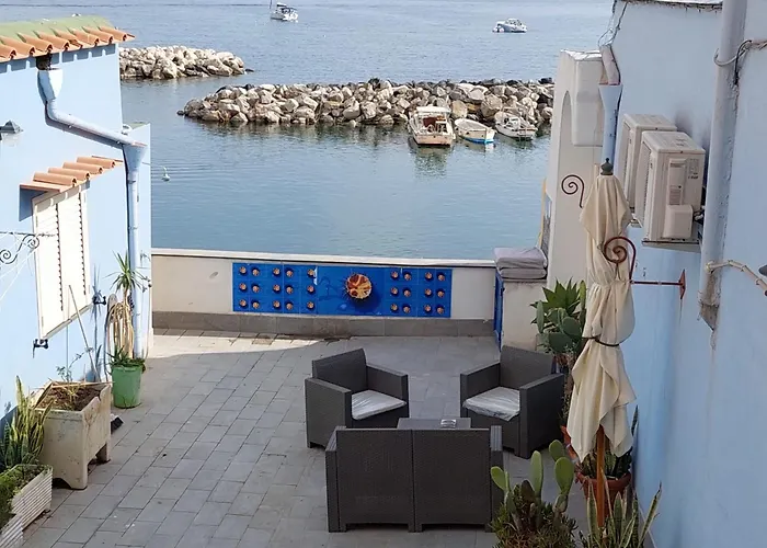 Monoblue プロチーダ